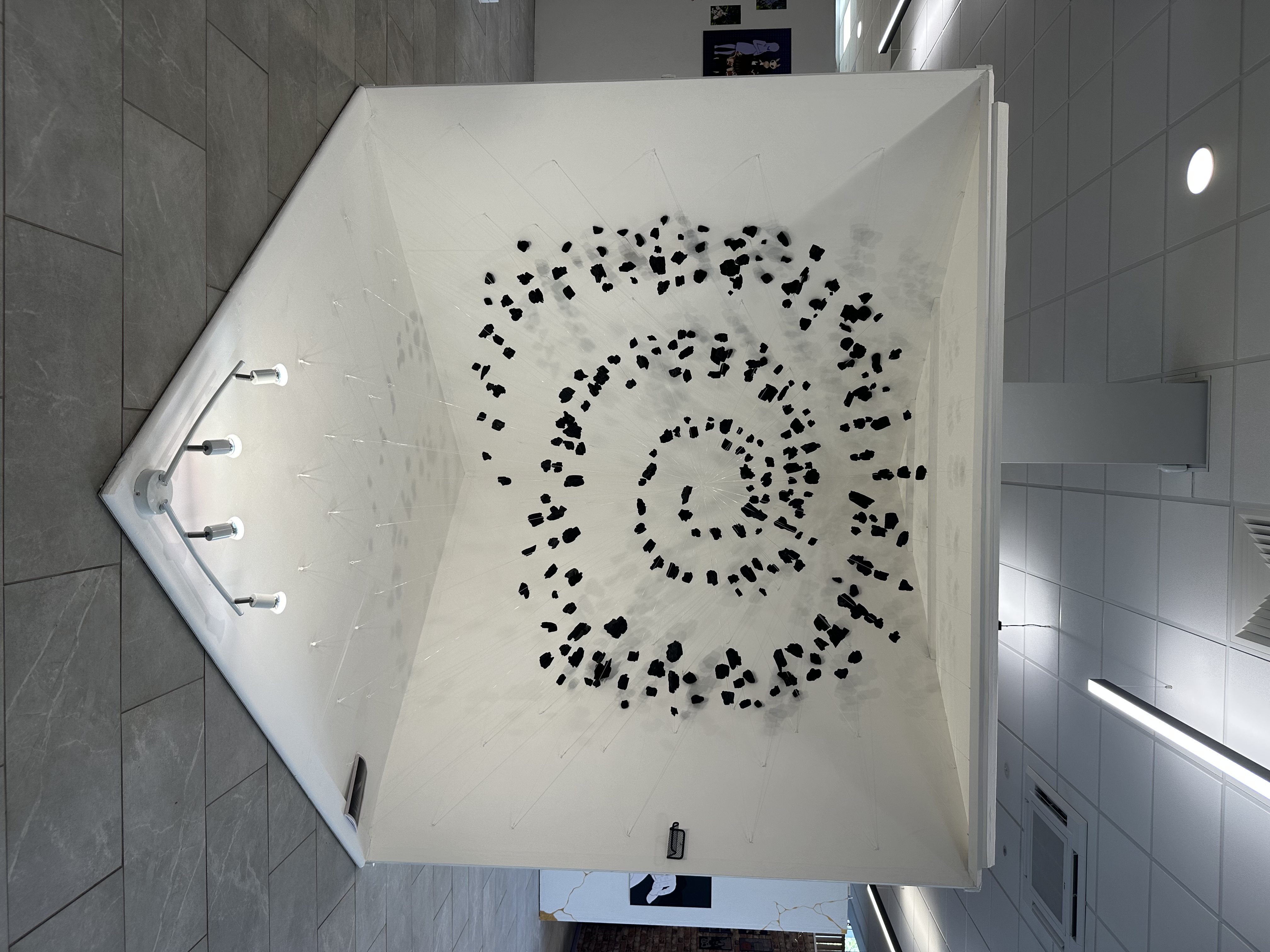 Dark Matter 2026 site-specific charcoal installation by contemporary artist Lea Langley