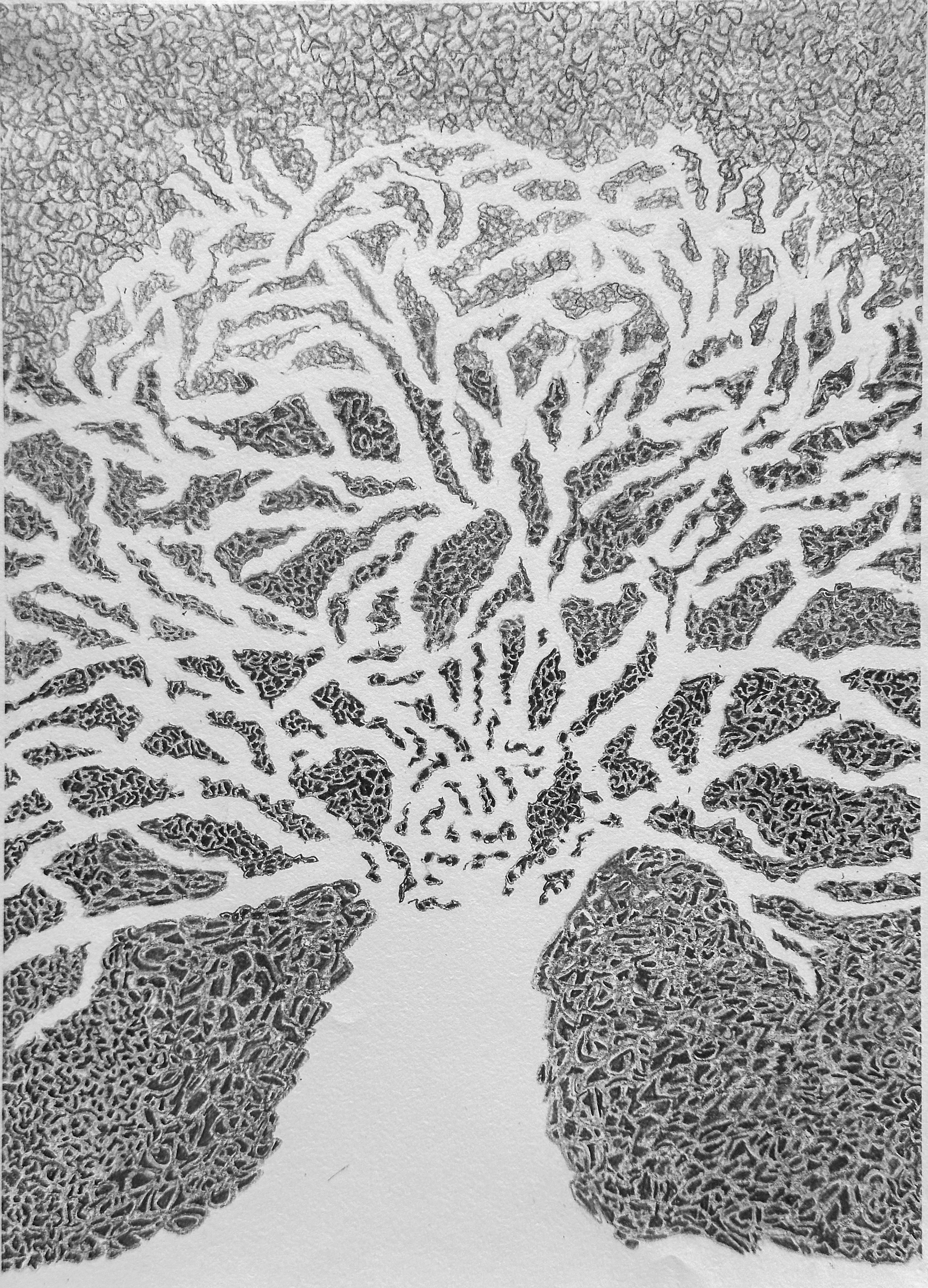 Negative Space tree drawing by Lea Langley exploring negative space for the Dark Matter installation